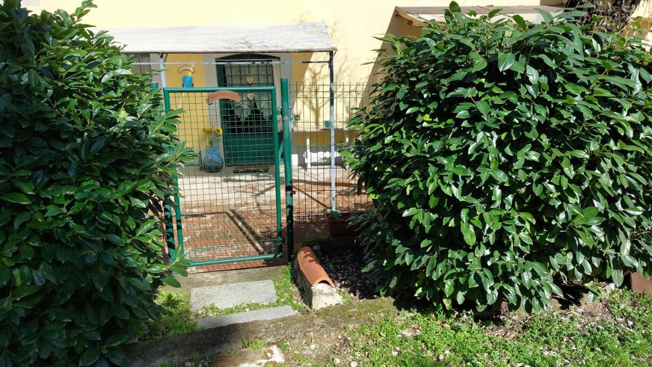 Апартаменти La Piccola Oasi Con Parcheggio Флоренція Екстер'єр фото